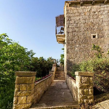 Old Small Stone House Zrnovo 外观 照片