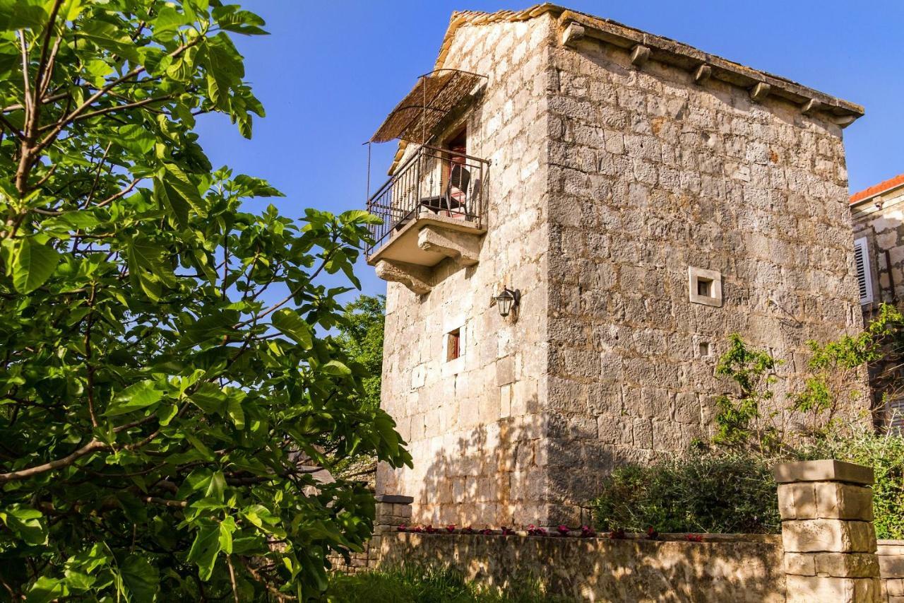 Old Small Stone House Zrnovo 外观 照片