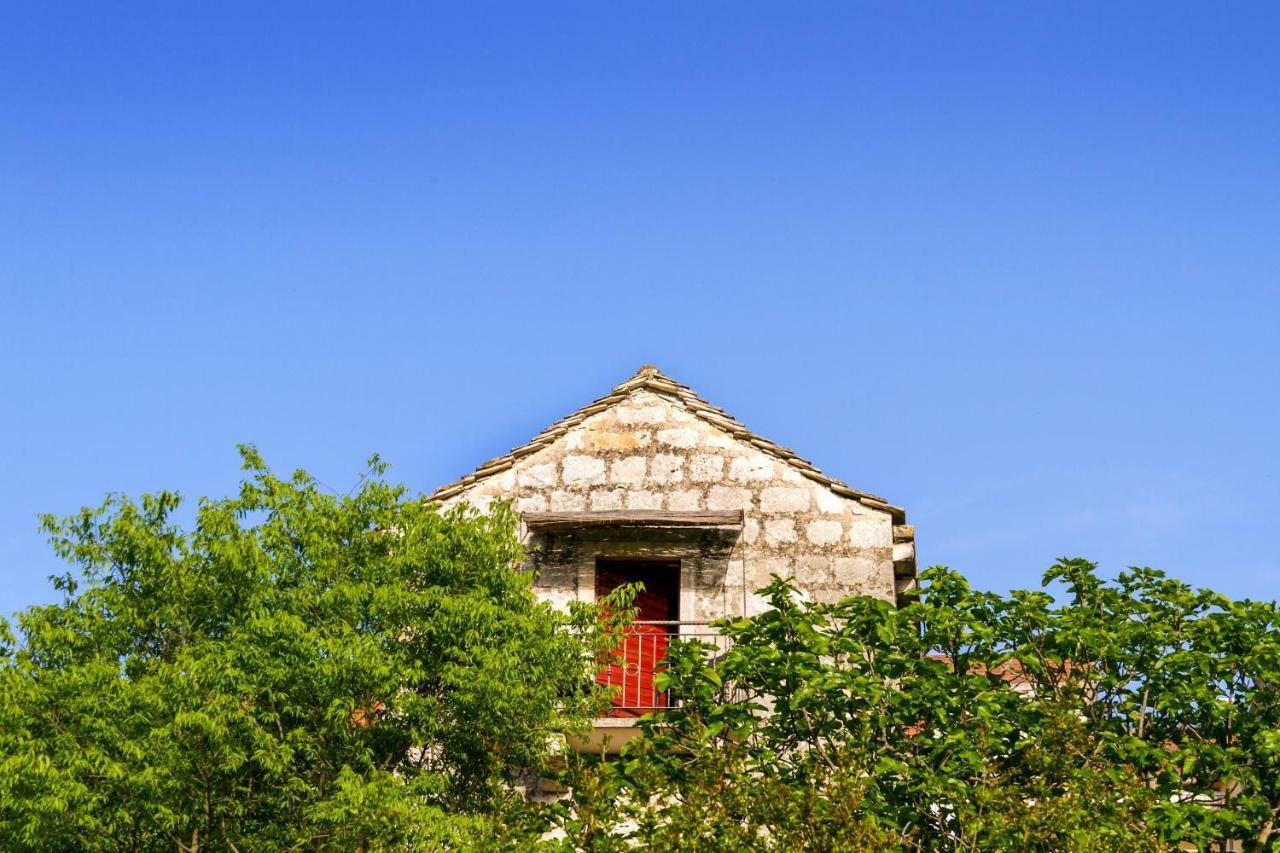 Old Small Stone House Zrnovo 外观 照片